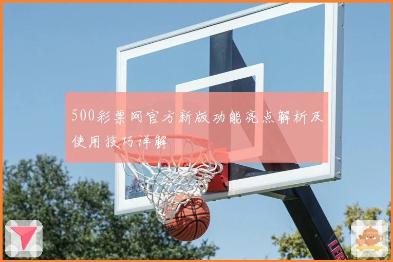 500彩票网官方新版功能亮点解析及使用技巧详解
